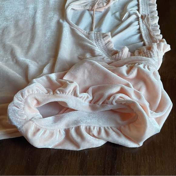 Free People Terese Pink Tint Velvet Top Size Medium - Picture 7 of 10